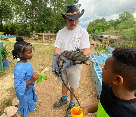 Our evening at The Learning Zoo! (Plus tickets to their SUMMER BASH!)