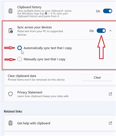 Image result for How to Solve Copy/Paste Issue From Remote System to Main System