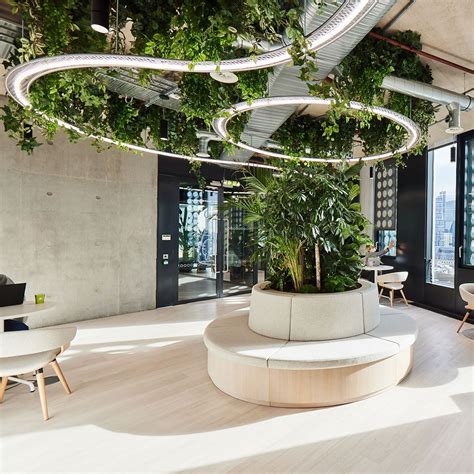 Biophilia in the Workplace: The 10 Best Office Plants
