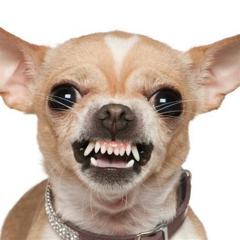 ���� �̹��� ���� ������ �����ϼ���. Stream Kader music | Listen to songs, albums, playlists for free on ...