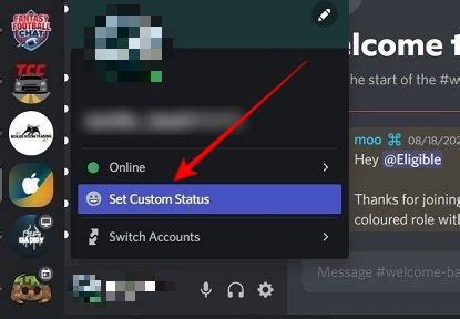 Image result for Auto Changing Discord Status