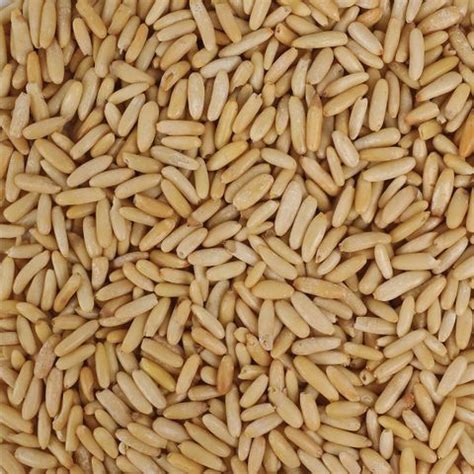 Sindhi Dry Fruits Chilgoza-Giri-1KG Pine Nuts Price in India - Buy ...