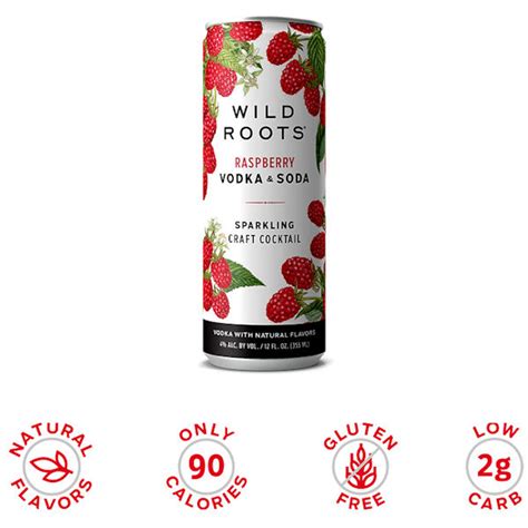 Wild Roots Raspberry Vodka & Soda Sparkling Ready To Drink Cocktail ...