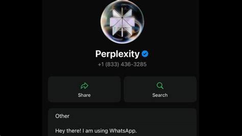 Tackling scams, misinformation: Deep dive into Perplexity’s WhatsApp ...