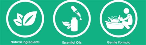 Buy WILDWASH Dog Shampoo for Deep Cleaning and Deodorising, 300ml ...