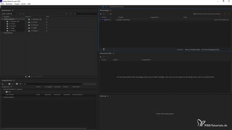 Adobe Encoder Tutorial 的图像结果