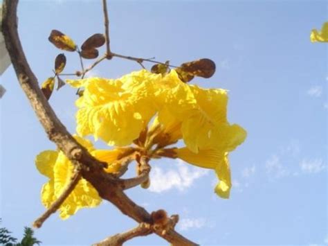 Tubarao Tourism (2023): Best of Tubarao, Brazil - Tripadvisor