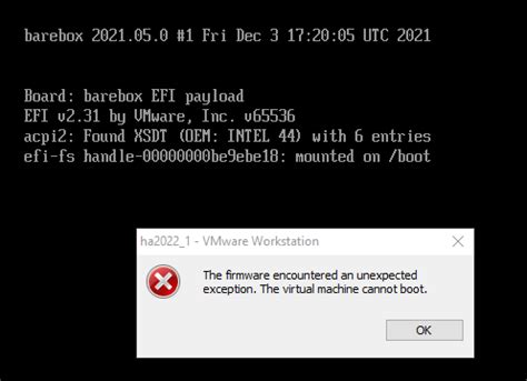 Image result for Boot Error On VMware 16