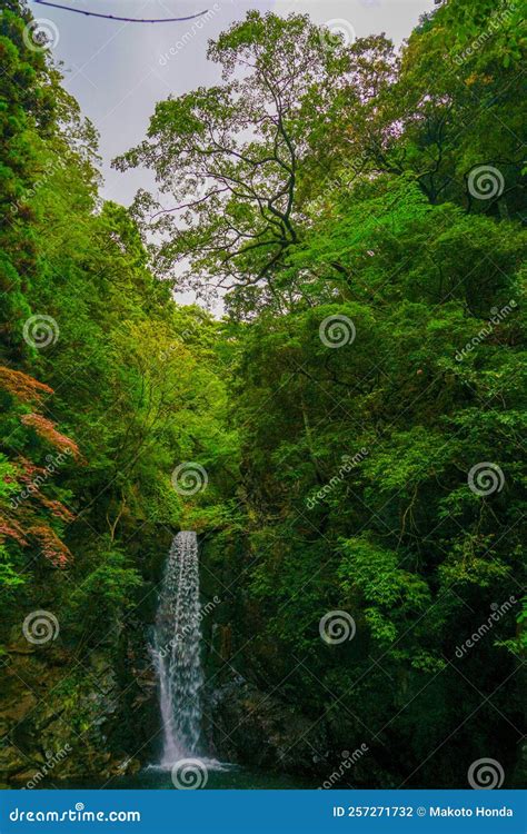 Koga Falls (Kobe City, Arima Onsen) Stock Photo - Image of foot, koga ...