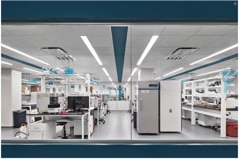 Image result for Concept Fox Lab GBC Lab Victor Lab