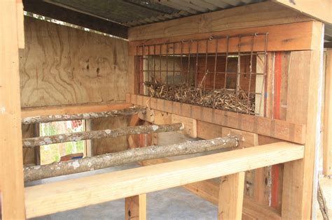 Chicken Coop Roost