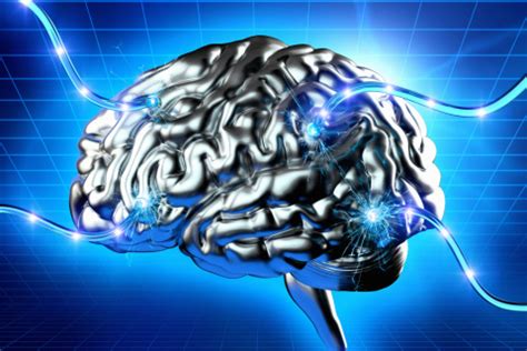 Bildergebnis für brain biotechnology