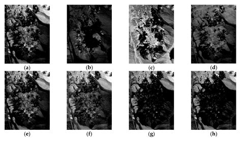 An Automatic Sparse Pruning Endmember Extraction Algorithm with a ...
