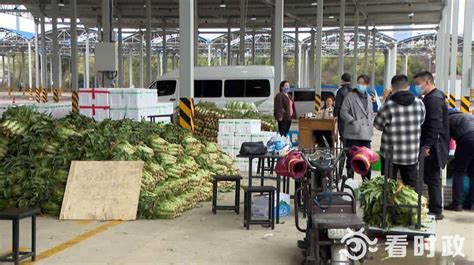 上高路临时农产品批发市场运行稳定 各地商超菜场货源充足 -名城苏州新闻中心