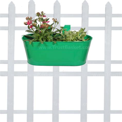 home & garden > plants > seeds – TrustBasket