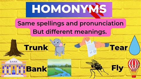 Image result for What Is Homonym a Examples
