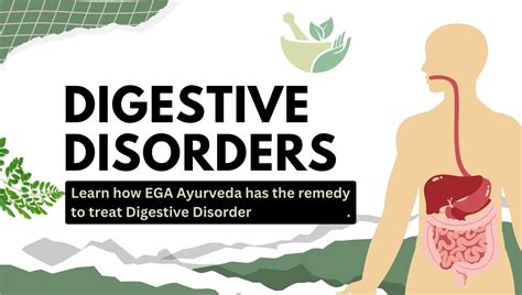 EGA Digestive Disorder Ayurvedic Treatment – EGA Wellness