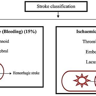 Image result for International Classification of Functioning Stroke