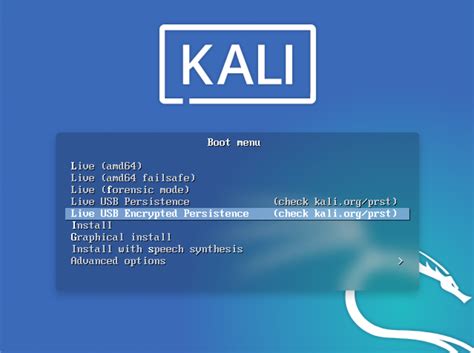 Image result for Kali Linux Persistent USB