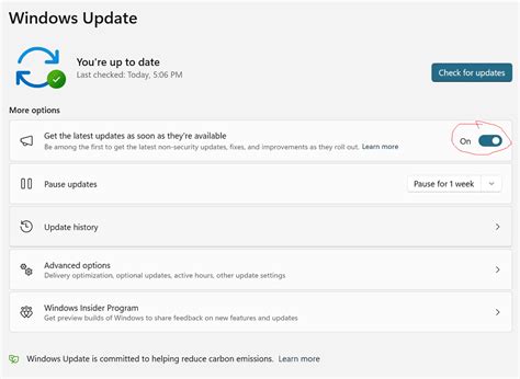 Image result for Auto Updates Turn Off Windows 11