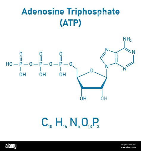 Adenosine Structure