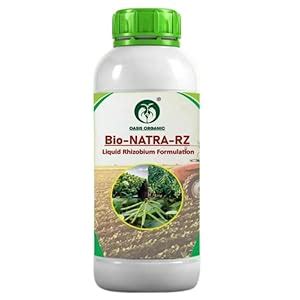 Oasis Organic Bio-Natra-RZ (Liquid Rhizobium_OAS01_250ML) : Amazon.in ...