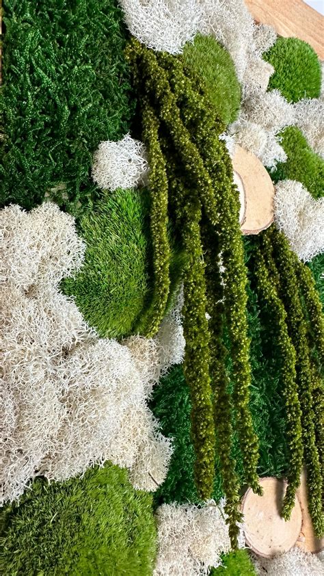 How to Create Moss Wall Art