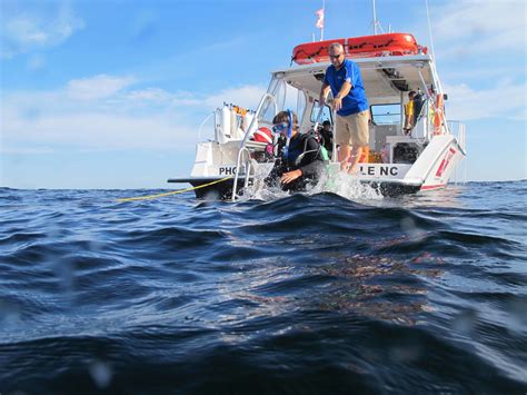 Best Marine Biology Camps For High School Students at Phyllis Lange blog