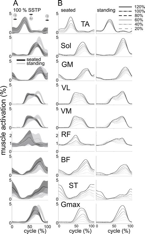 Image result for Muscle Activity EMG