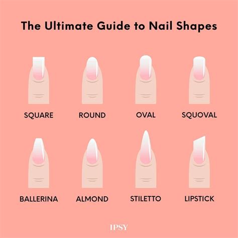 Nail shapes | Nail shapes, Nail shape chart, Nails shape for chubby hands