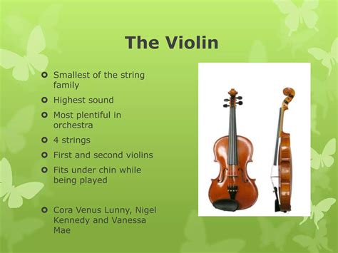 Image result for Orchestra Stringed Instruments