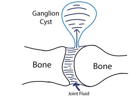 Image result for Python Draw Flow