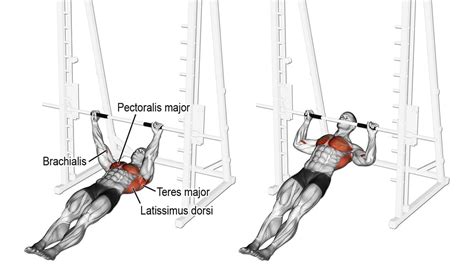 Image result for Inverted Row Workout