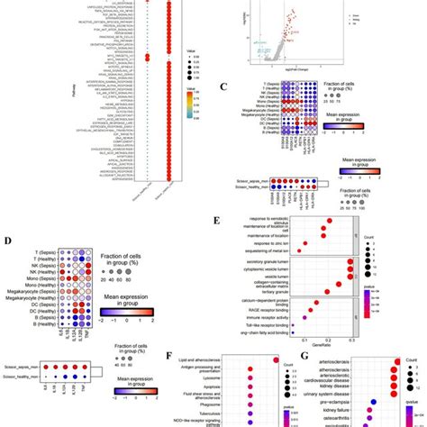 Cellular Function 的图像结果