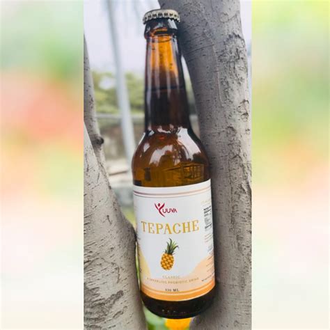 TEPACHE 330 ml – Indian Kefir Company