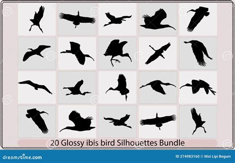 Glossy Ibis Bird Silhouette,Glossy Ibis Bird Silhouette Bundle,Glossy ...