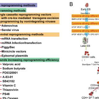 Image result for Reprogramming Graphic