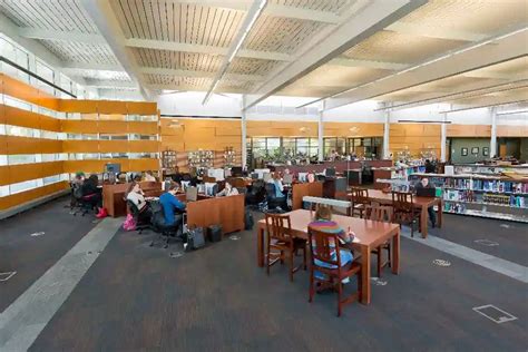 Image result for Study Program