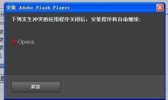 flash是什么意思（电脑flash有什么用）-玩个性