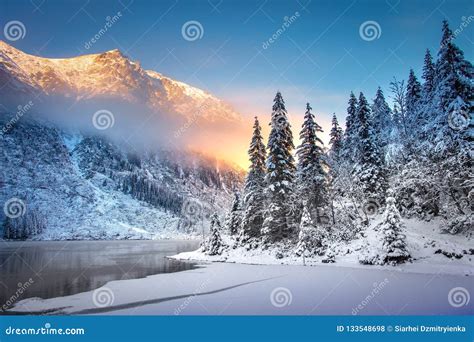 Image result for Wave Function Collapse Algorithm Plant