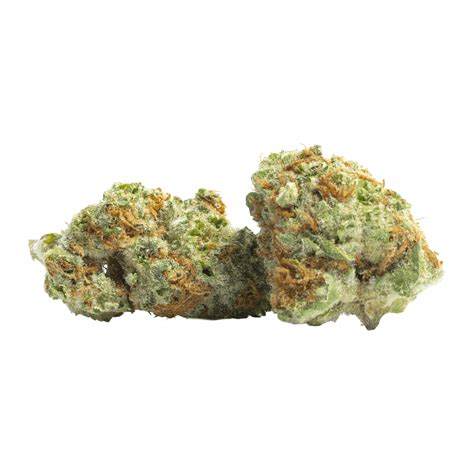 Shop THCP Burnt Orange Strain – Citrus Flavor & Strong Effects