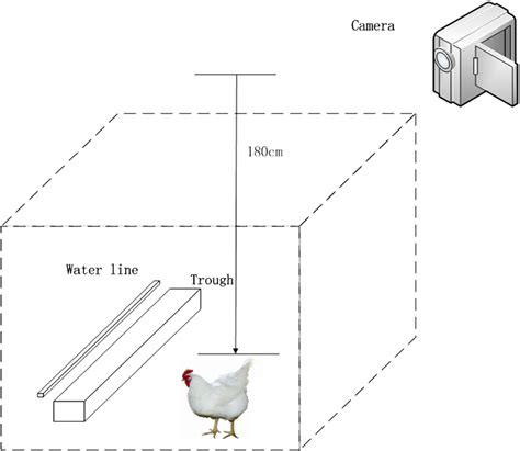 Image result for Computer Vision Fake Animals