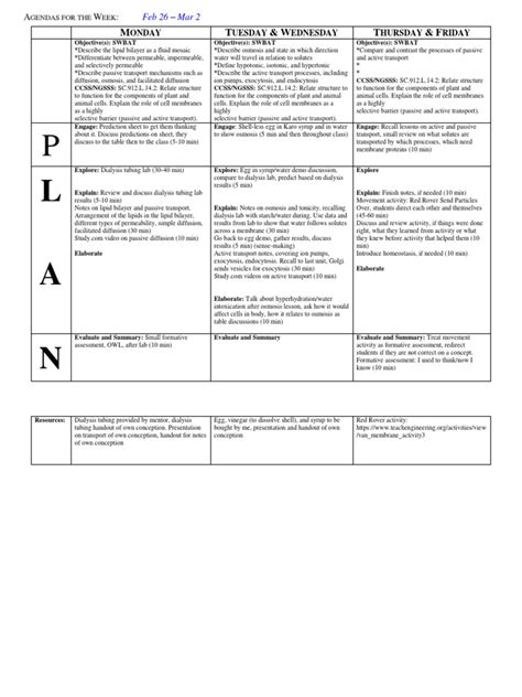 Lesson Plan Summary Example 的图像结果