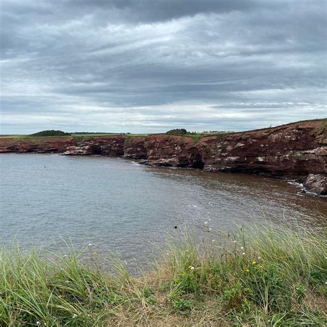 WILD GOOSE LODGE (French River, Prince Edward Island) - Lodge Reviews ...