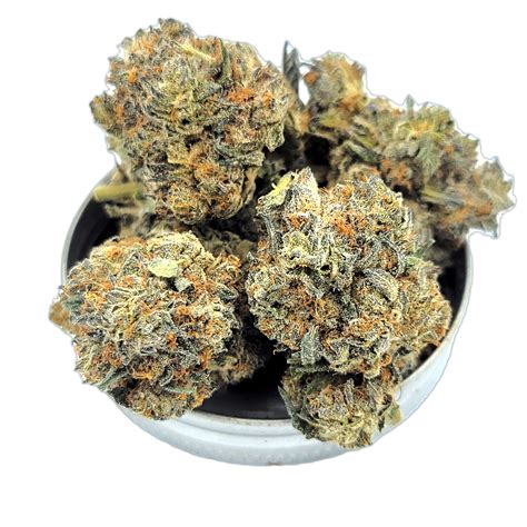 Home - Magic's Corner