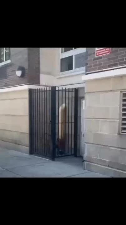 Image result for Matrix Math Meme