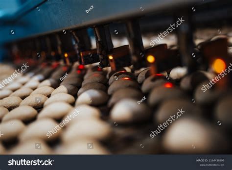 Manufacturing Food Products 的图像结果