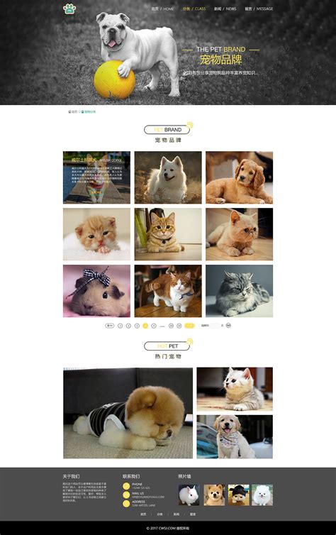 宠物之家|网页|企业官网|LuRenY1 - 原创作品 - 站酷 (ZCOOL)