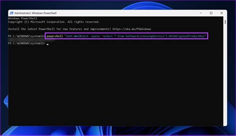 Windows License Key Checker 的图像结果