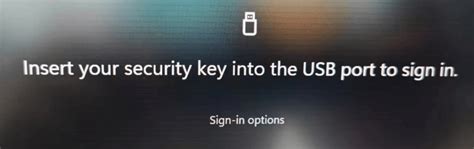 YubiKey Setup RDP 的图像结果